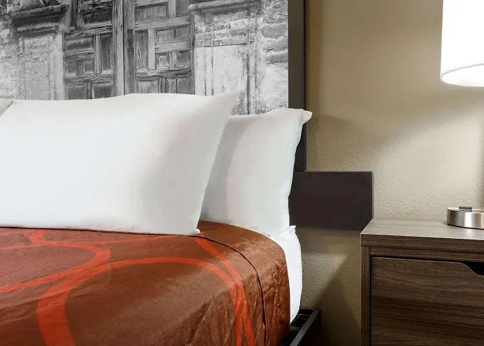 Super 8 By Wyndham San Antonio Airport North